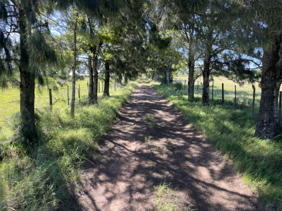 Commercial Property for Sale in Bathurst Rural Eastern Cape